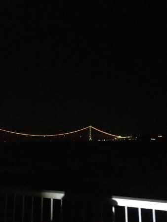 群れはこないタチウオ君