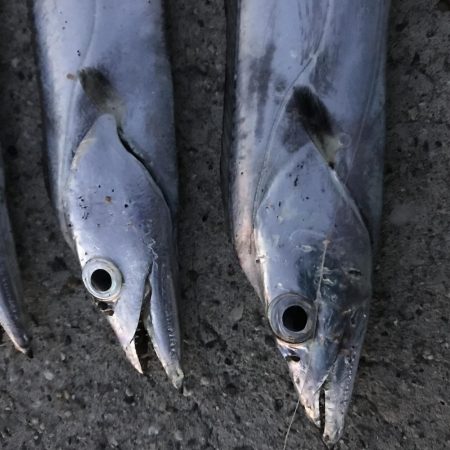 パワーシャッドどこまで使えんねん