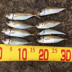 西宮ケーソンでドラゴン…に一歩及ばず(^^;