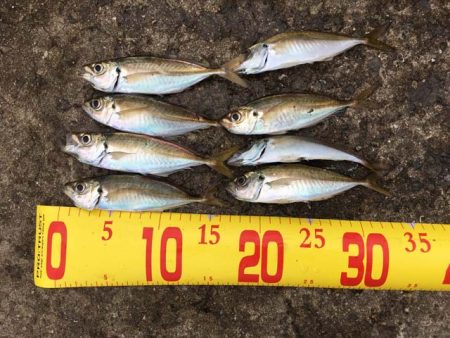 西宮ケーソンでドラゴン…に一歩及ばず(^^;