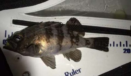 なんとかつ抜け