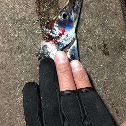 時間によりけり