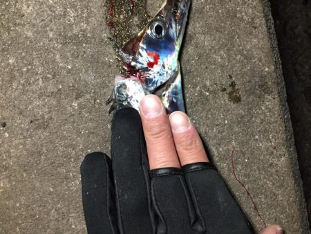 時間によりけり