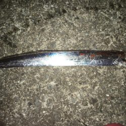 タチウオウキ釣り