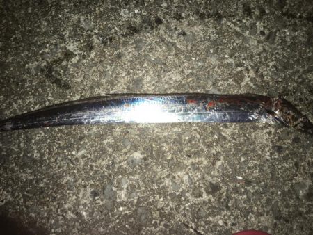 タチウオウキ釣り