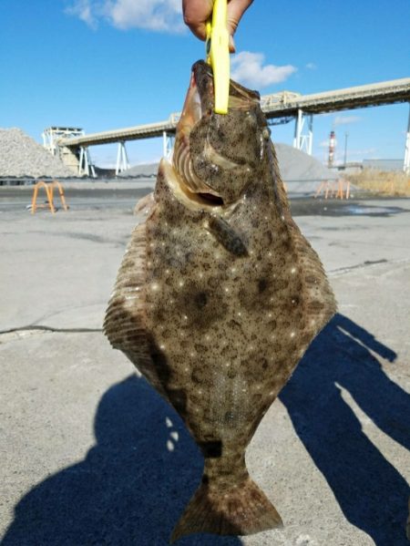 ルアーでヒラメ♪