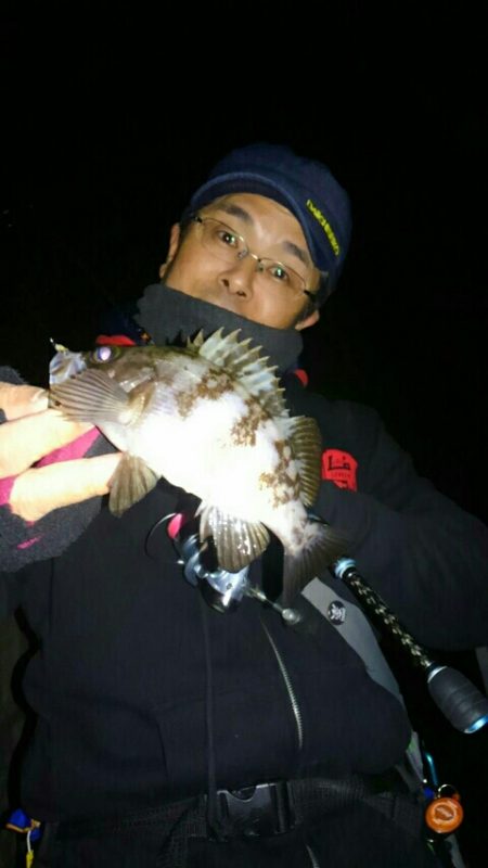 明石メバリング