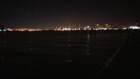 こんなのが釣れました。