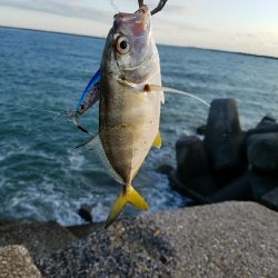 メッキことエバ釣り
