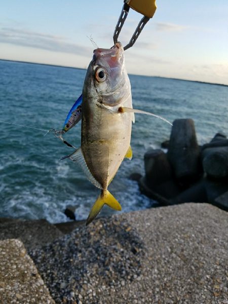 メッキことエバ釣り