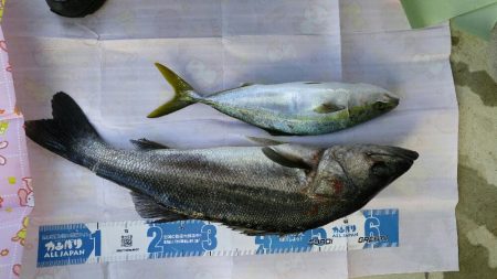 明石名田屋の飲ませ釣り