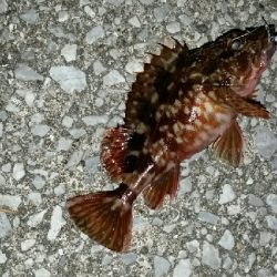 以外に風が強く場所移動