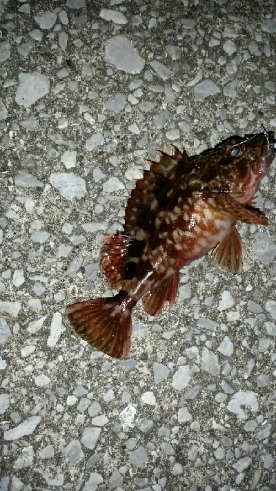 以外に風が強く場所移動