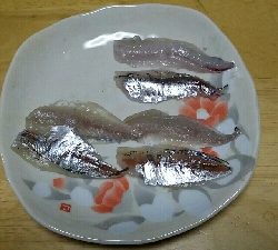 豆アジ