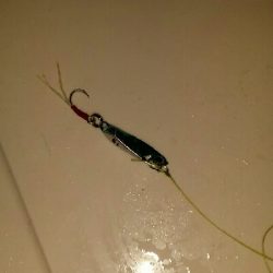 タチウオ、中アジ、クリスマスイブ