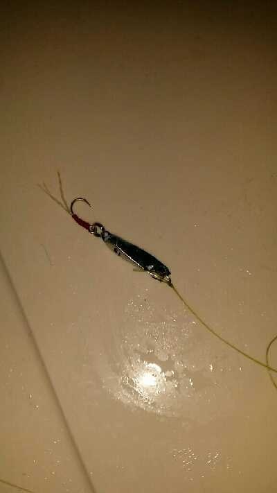 タチウオ、中アジ、クリスマスイブ