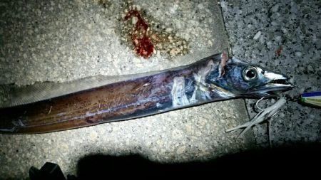 爆風と極寒でも釣れるタチウオ