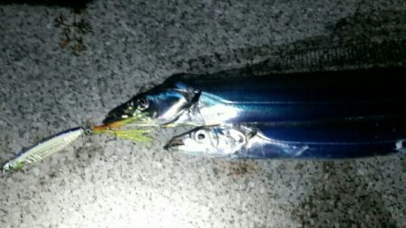 アタリはそこそこ、渋い中なんとか……