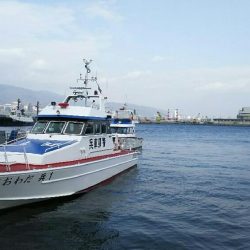 北公園でサビキ釣り イワシ