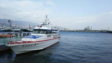 北公園でサビキ釣り イワシ