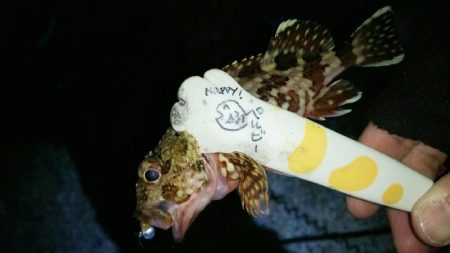 おしゃべりついでにライトゲーム