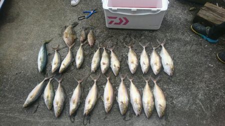 宿毛湾ジギングにて