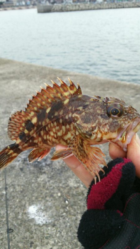 デイロックゲーム