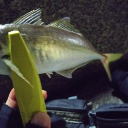 昨日のリベンジへ！