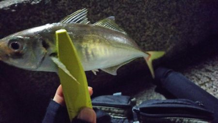 昨日のリベンジへ！