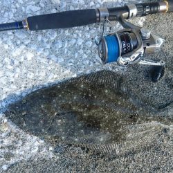 ショアジギング サーフヒラメ