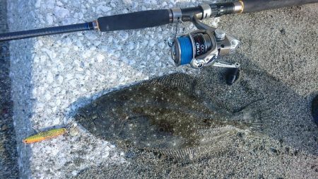 ショアジギング サーフヒラメ