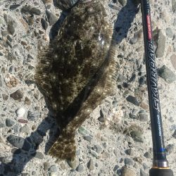 春野漁港周辺サーフ ショアジギング ヒラメ