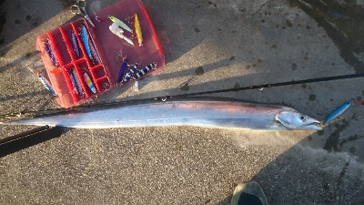 ガツンときました