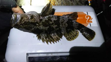 今日はツいてませんか？