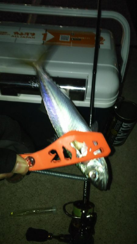 釣り納めしたはずが