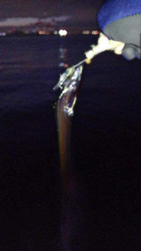 朝練 最大級と最小サイズ