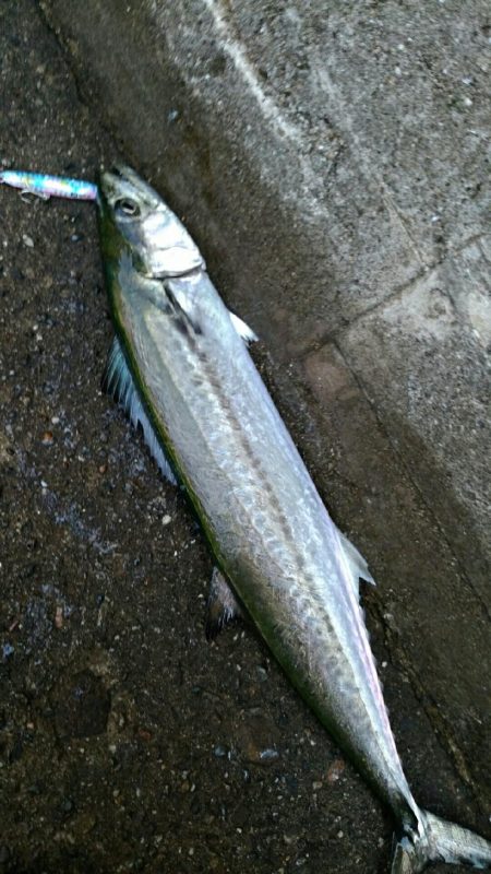 何とか坊主は逃れた