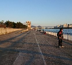 釣り部 釣行記 8