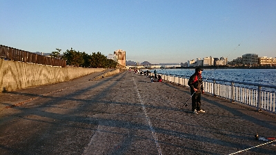 釣り部 釣行記 8