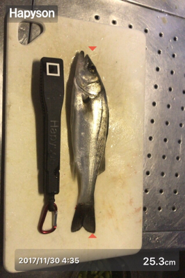 チーバスやってたらでっかいの来た