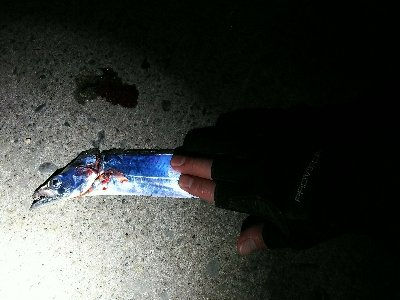 予報以上の爆風…