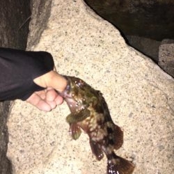 爆風ライトゲーム