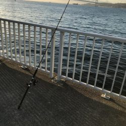 サヨリパターン