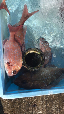 4日振りの平磯(^^)