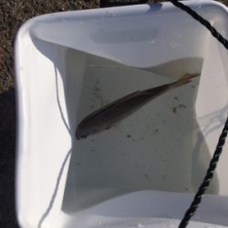 寒さに耐えたけど