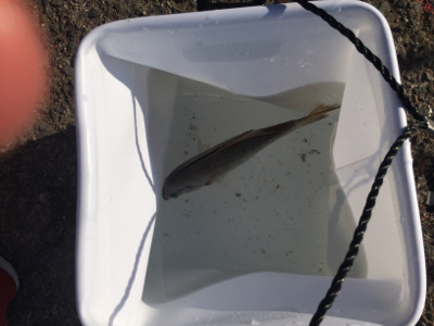 寒さに耐えたけど