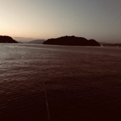 今週は3時間だけのヤリイカ調査