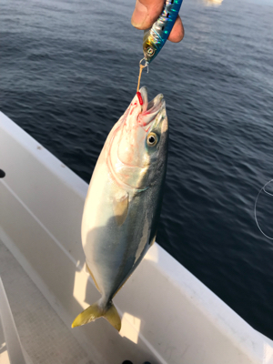 マイボート ジギング