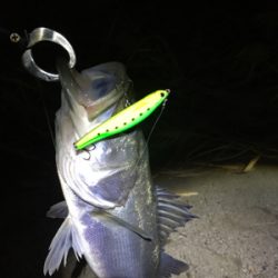 河川 ウェーディング