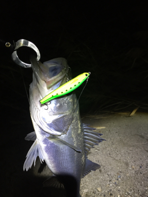 河川 ウェーディング